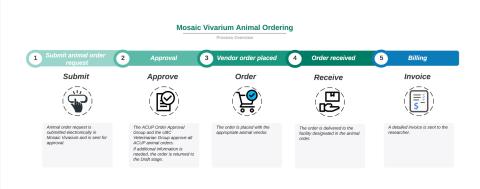 animal order infographic