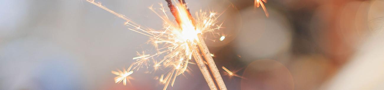 Spark Recognition Award Reporting | Animal Care and Use Program